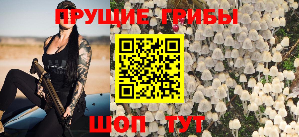 Псилоцибиновые грибы прущие грибы Реутов