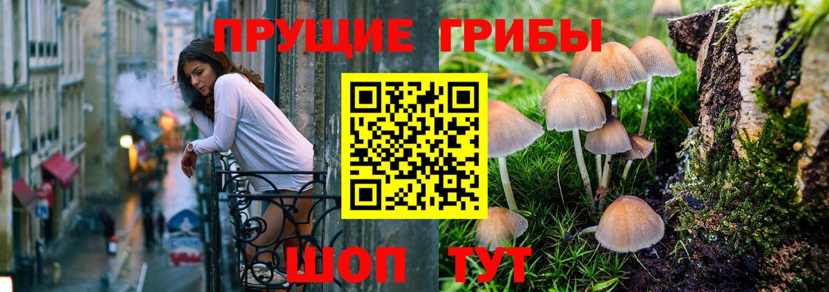 Галлюциногенные грибы Psilocybine cubensis  магазин    Реутов  Вход с VPN 